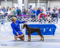 20230305-DSC08400
