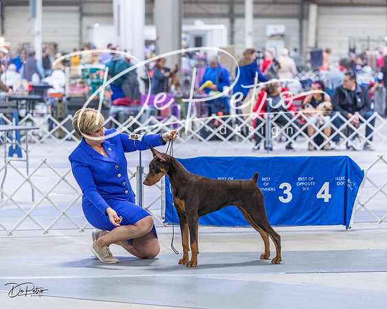 20230305-DSC08400