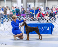 20230305-DSC08401