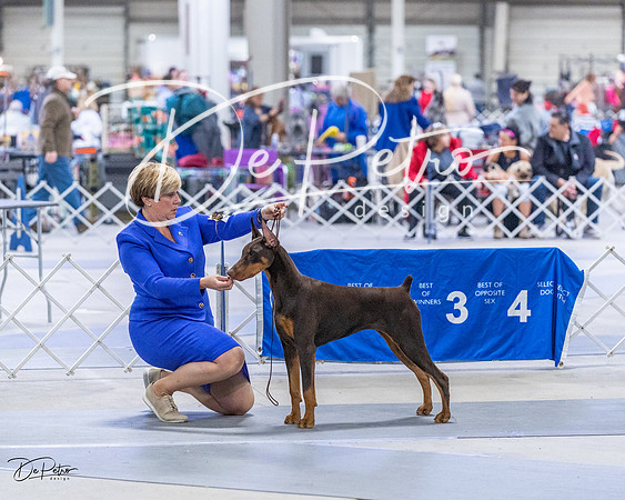 20230305-DSC08401