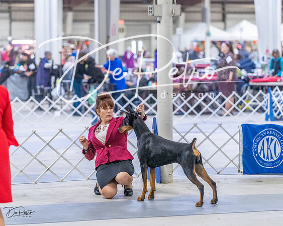 20230305-DSC08404