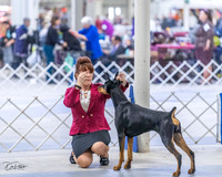 20230305-DSC08407