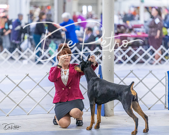 20230305-DSC08407