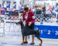 20230305-DSC08412