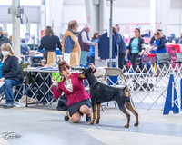 20230305-DSC08419