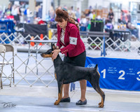 20230305-DSC08417