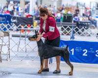 20230305-DSC08418