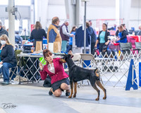 20230305-DSC08420