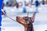 20230305-DSC00004