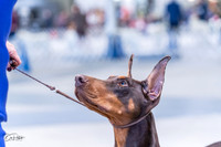 20230305-DSC00005