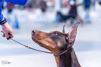 20230305-DSC00003