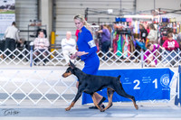 20230305-DSC00012