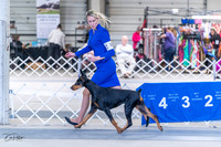 20230305-DSC00014