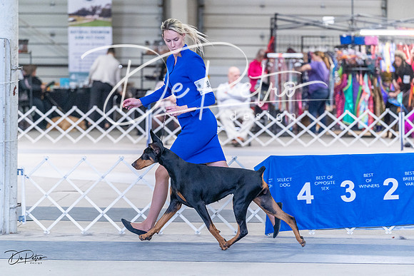 20230305-DSC00014