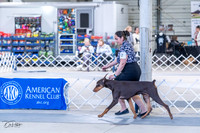 20230305-DSC00038