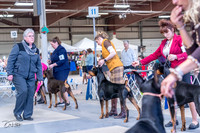20230305-DSC00051