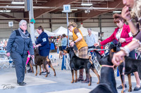 20230305-DSC00052