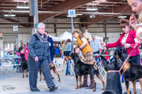 20230305-DSC00055
