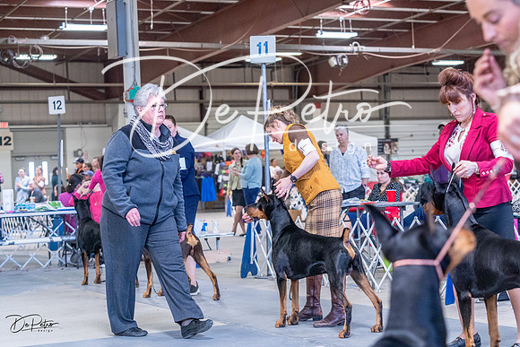 20230305-DSC00055