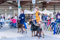 20230305-DSC00058