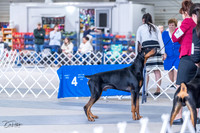 20230305-DSC09106