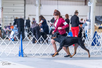 20230305-DSC09118