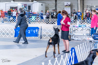20230305-DSC09147