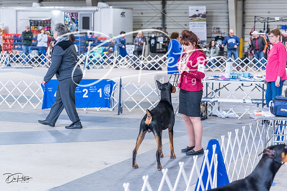 20230305-DSC09147