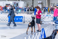 20230305-DSC09148