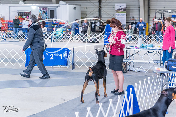 20230305-DSC09148