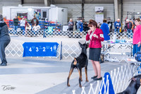 20230305-DSC09149