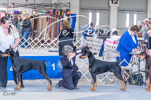 20230305-DSC09200