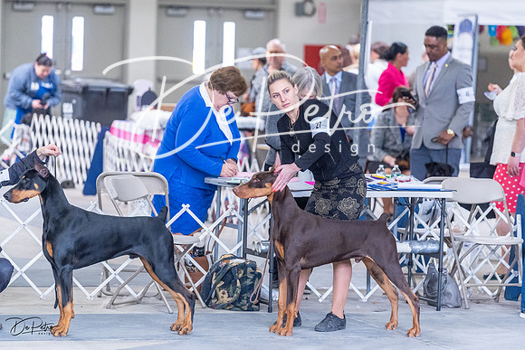 20230305-DSC09204
