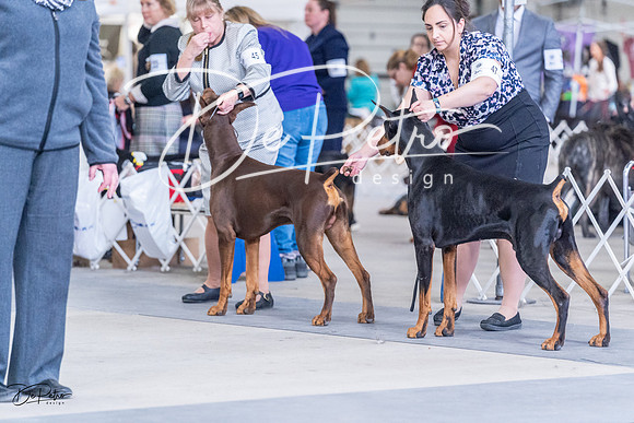 20230305-DSC09224