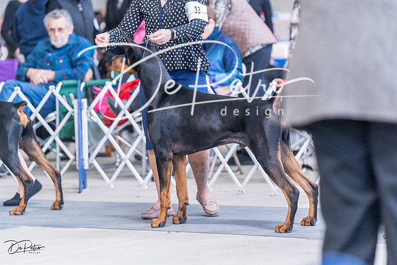 20230305-DSC09230