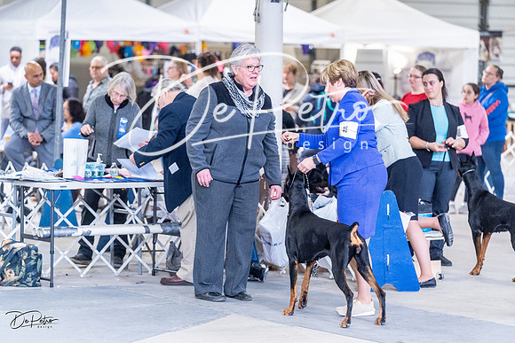 20230305-DSC09249