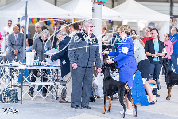 20230305-DSC09250
