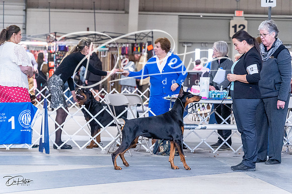 20230305-DSC09279