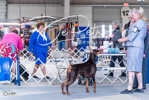 20230305-DSC09287