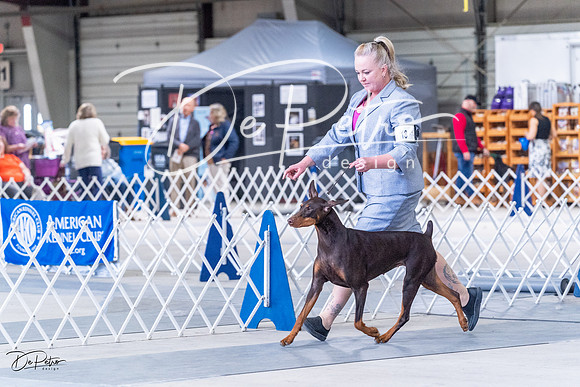 20230305-DSC09300