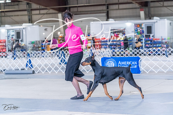20230305-DSC09367