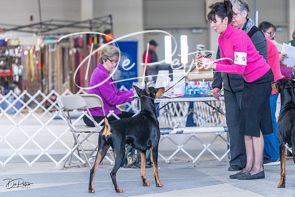 20230305-DSC09430