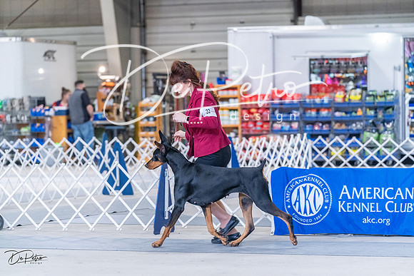 20230305-DSC09458