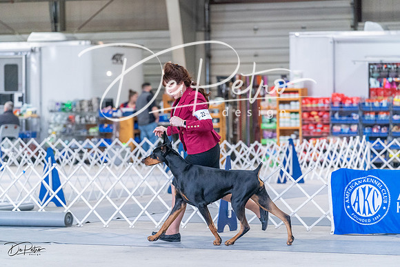 20230305-DSC09460