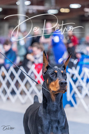 20230305-DSC09497