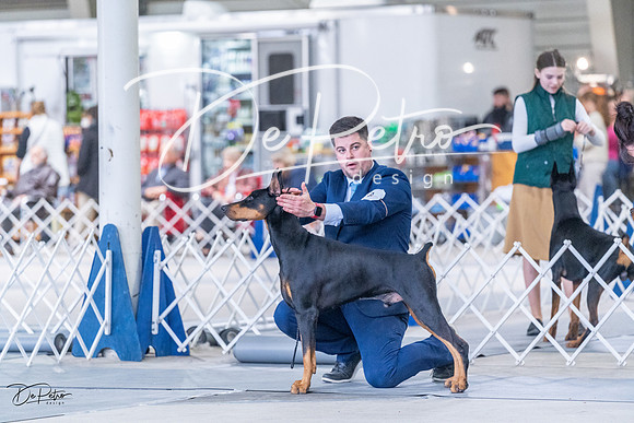 20230305-DSC09552