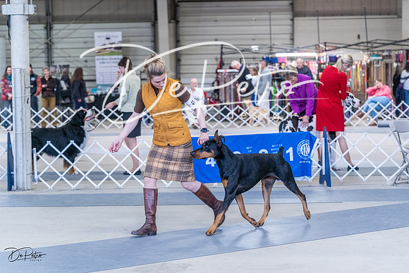 20230305-DSC09575