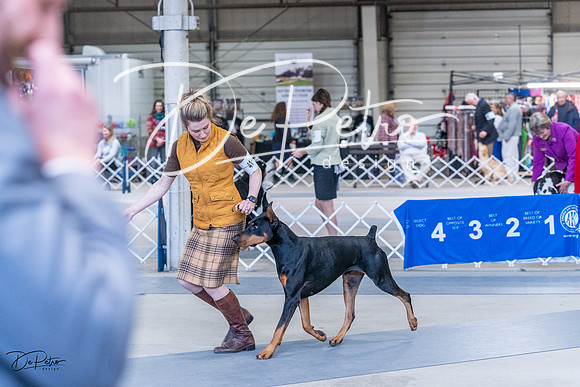 20230305-DSC09580