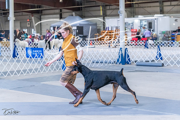 20230305-DSC09590