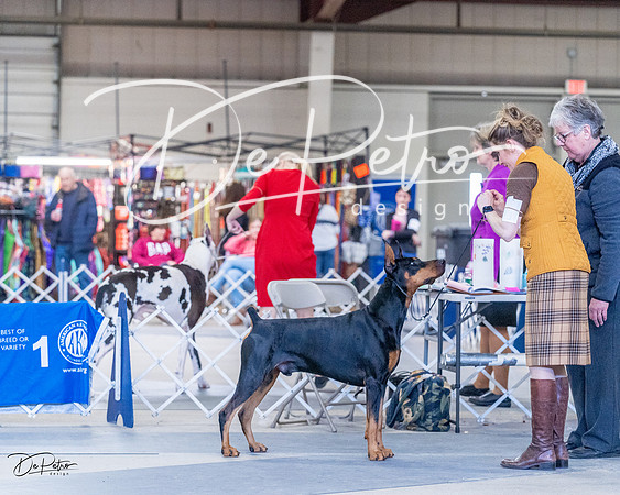 20230305-DSC09595